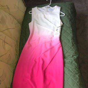 Calvin Klein Size 4 dress...Brand New With Tags